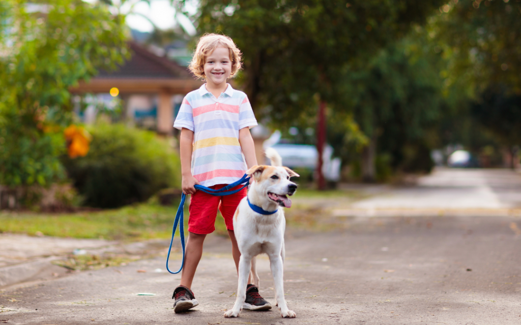 Boy ready to take dog a walk